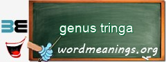 WordMeaning blackboard for genus tringa